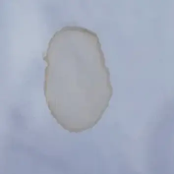  WATER MARK 